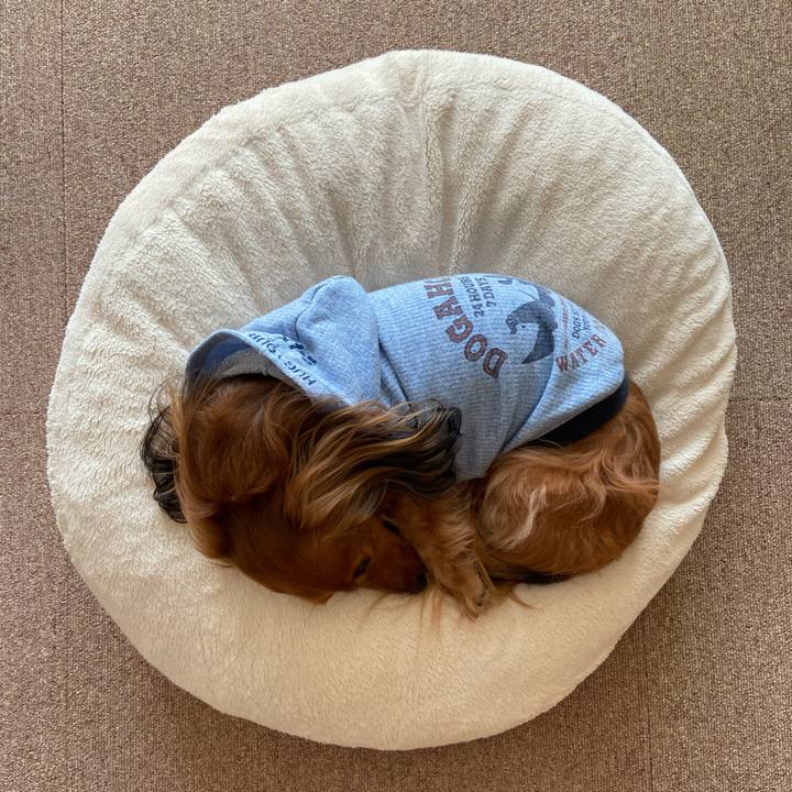 99a528ef aaa4 4c85 a707 67fe74986af5 1643179287043