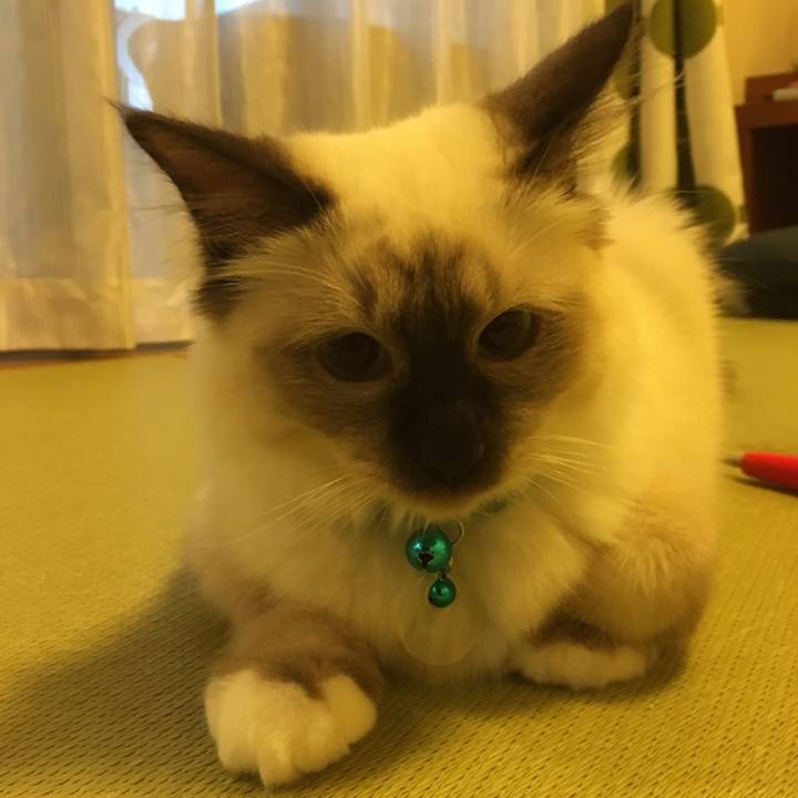 99a52a1f 6cc9 493e 9313 62742b6a4248 1509781530790