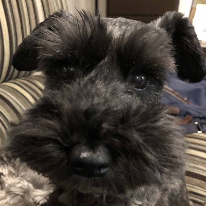 99a52f5f 919e 46ce 8048 b680e9bc27ee 1540634282636