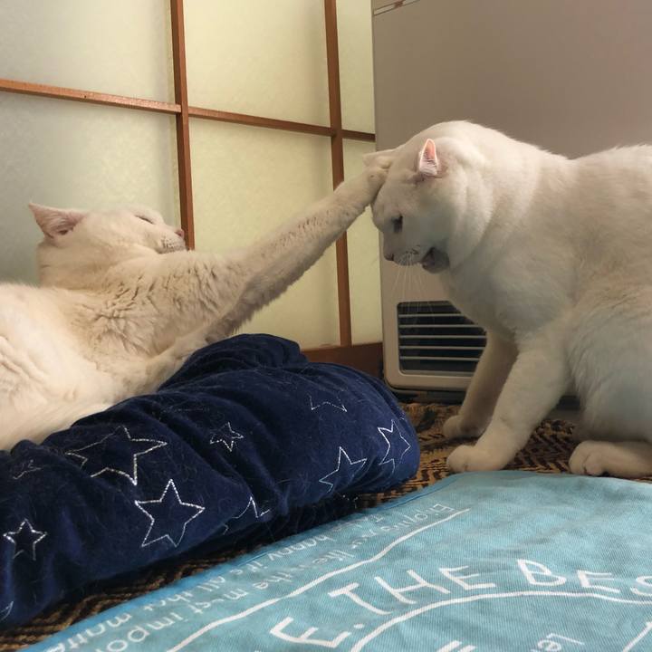 99a56166 099c 4916 a081 42c6409962a2 1576918511195