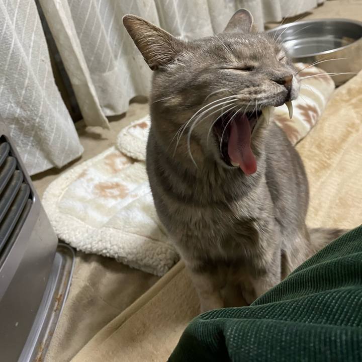 99a57867 68e2 48ce ac74 8ceef97fa926 1585573142745