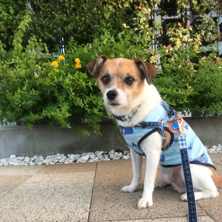 99a59522 72bf 4b9b 9edd 311793a65130 1534904231040