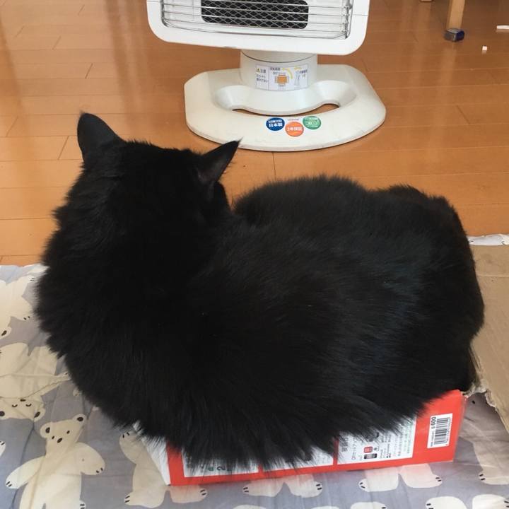 99a5a5ea b6ef 4349 9e61 0426fbe241a7 1518565723880