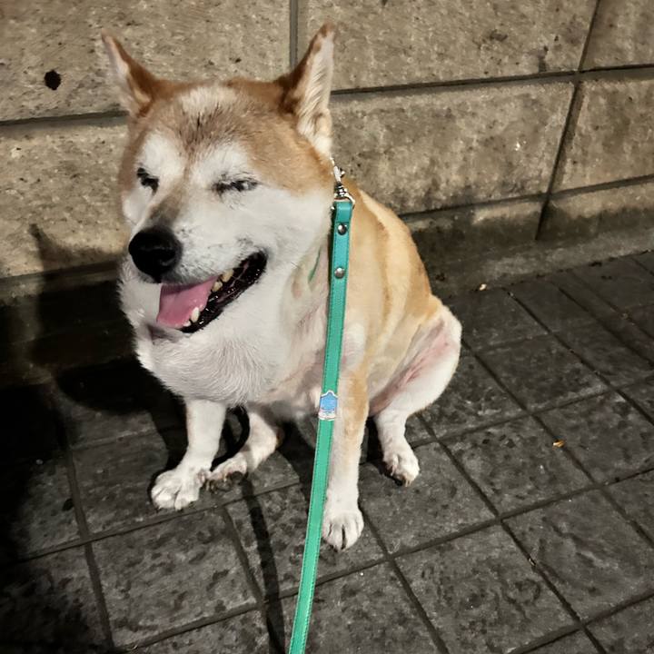 99a61458 dc0e 4494 af88 f8059edb571e 1757326468585