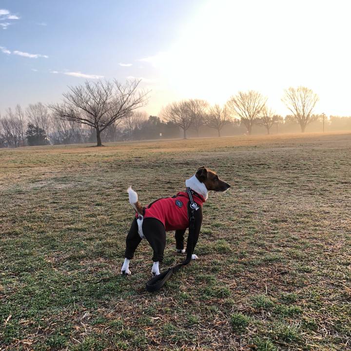 99a6325e 5431 4195 9d8c 2a8d225f5ff9 1551480486319