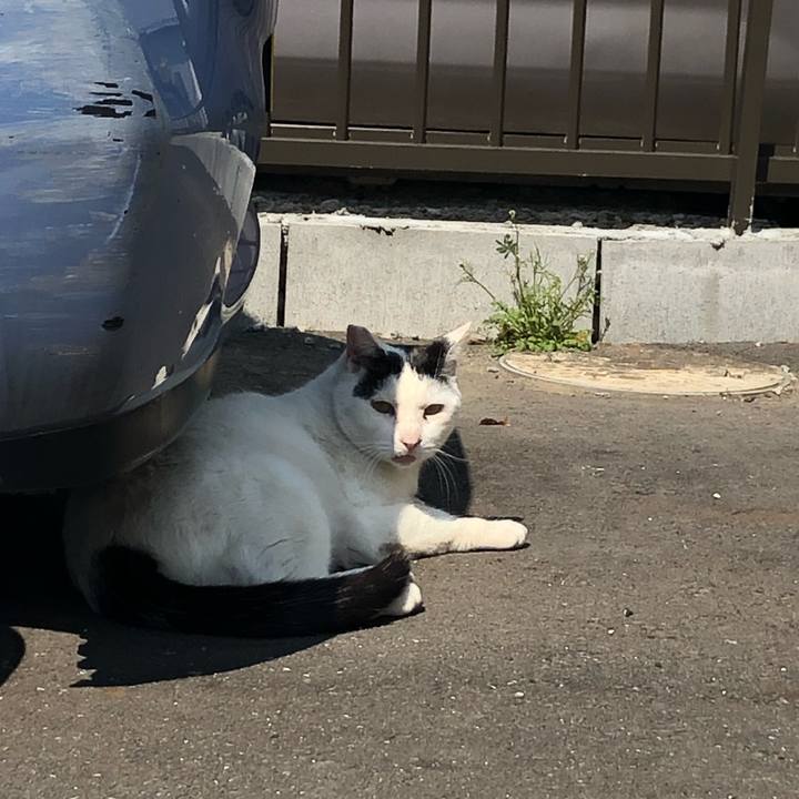 99a63ba0 3ace 4c12 801e 298f57333529 1585408928754