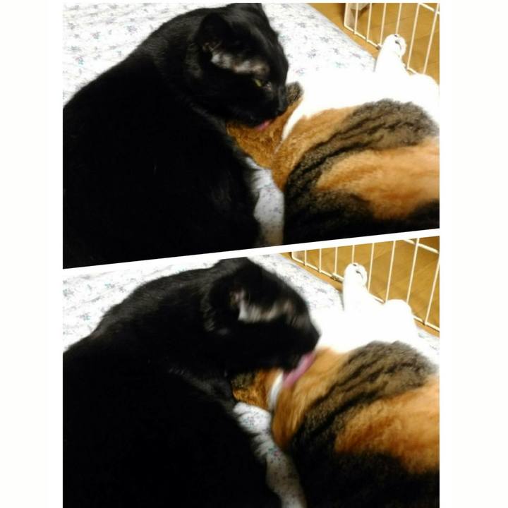 99a6a51f 637d 4905 9c63 648300d895f0 1509544129416