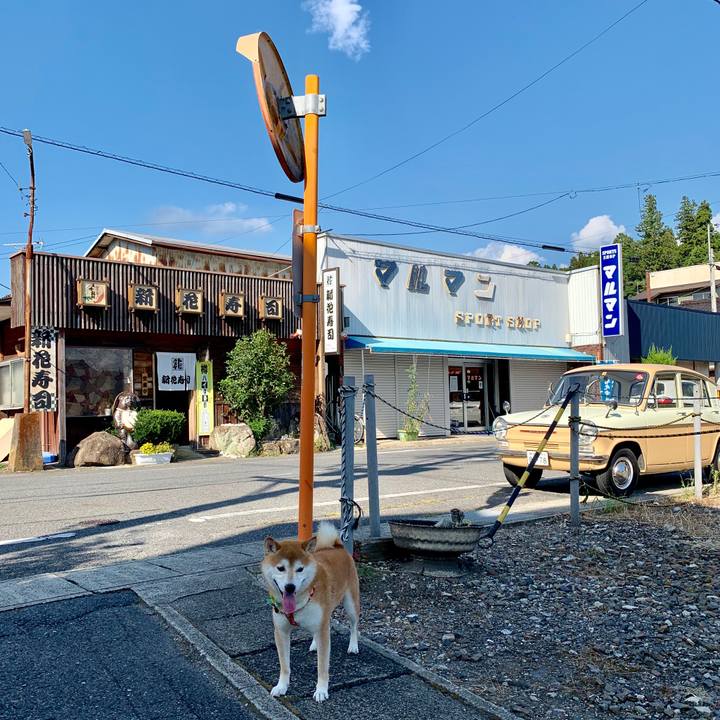 99a6ab70 3c8f 4da1 b7c4 44f121794f8e 1566718392791