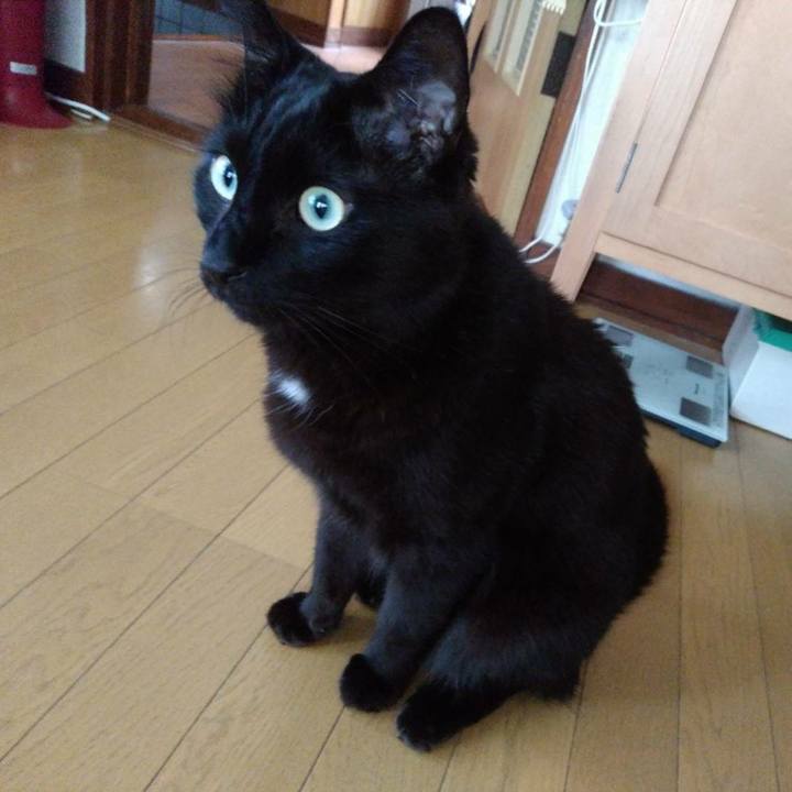 99a6b658 5429 4ba5 9d79 5e47215e6f26 1594292546402