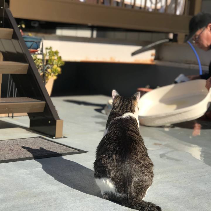 99a6dce1 9085 4eaa 89a5 b8e6faed5ecb 1546235846444