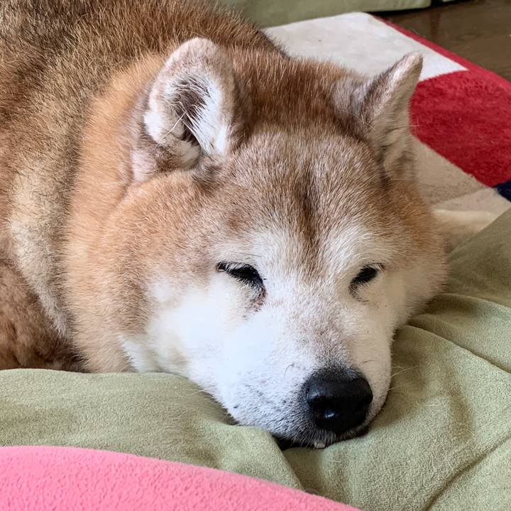 99a6e917 7b48 4ecf 9aec 302570133551 1651727607756