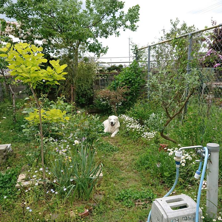 99a70d0a 2528 453a 961a c0e39814d90a 1556500528300