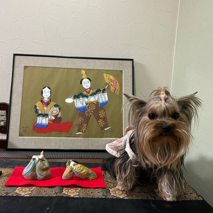 99a732c0 92d8 400a aef5 a5c745122f55 1677844328998