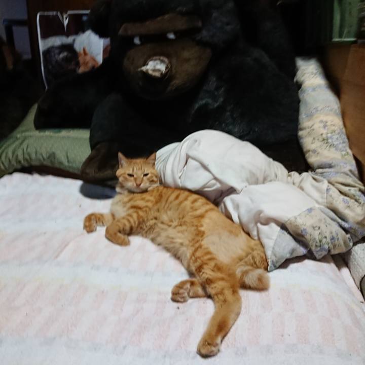 99a7abfc 3753 4924 b87c d05bc5184364 1659511157118