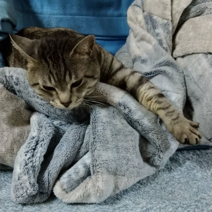 99a7f6b8 234d 4089 9a77 e5775ca333d6 1620651567754