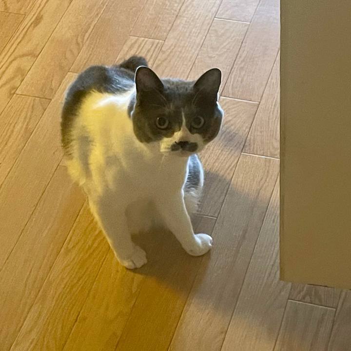 99a7fd3c 5fa0 4e29 9293 6b76cf4a2f28 1652856056887