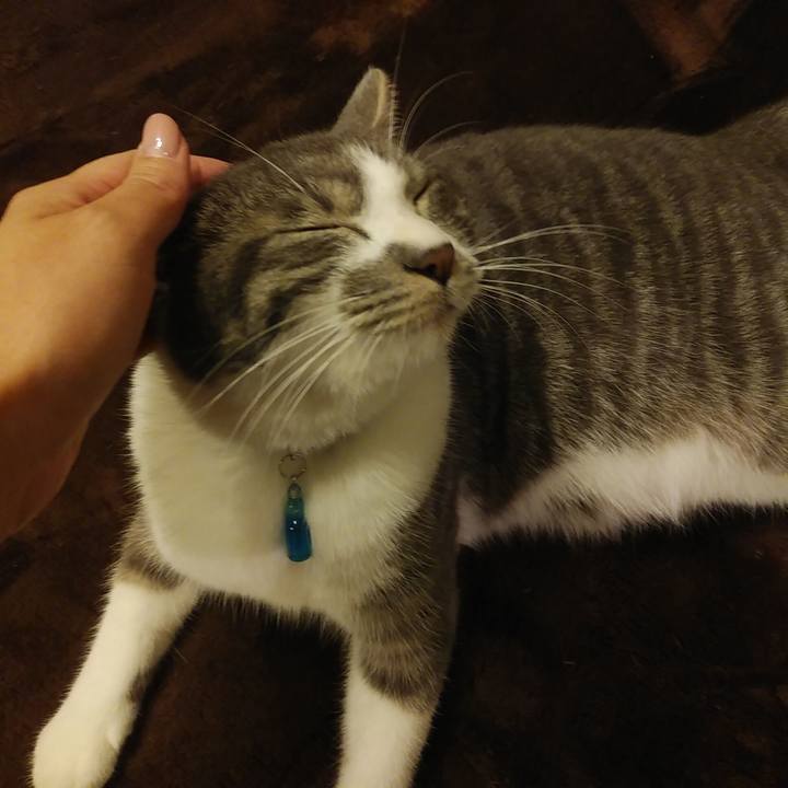 99a81006 01da 4d61 b28b f0a79a51f400 1579963756618