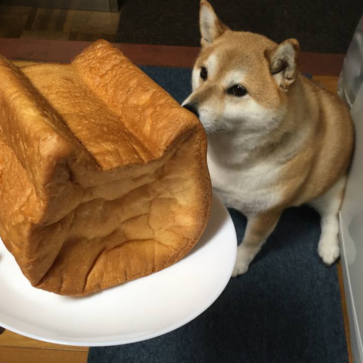 99a83039 cb97 421a 885f 0f7ab2f172c4 1592468234677