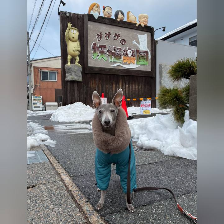 99a8461c e725 4bcd bccf 44b6a61984f0 1771589358327