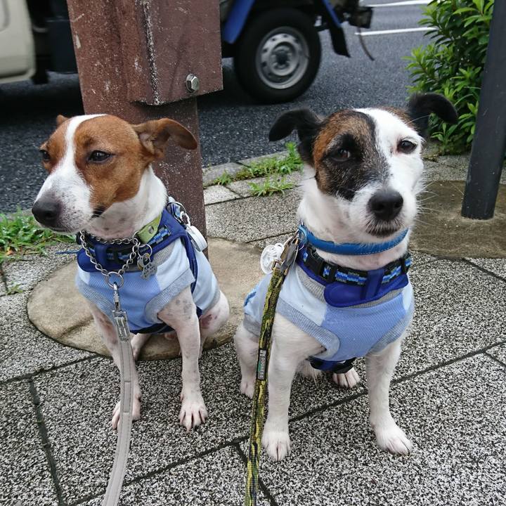 99a84b8c c822 4c67 b7b1 585bf17da696 1563316960389