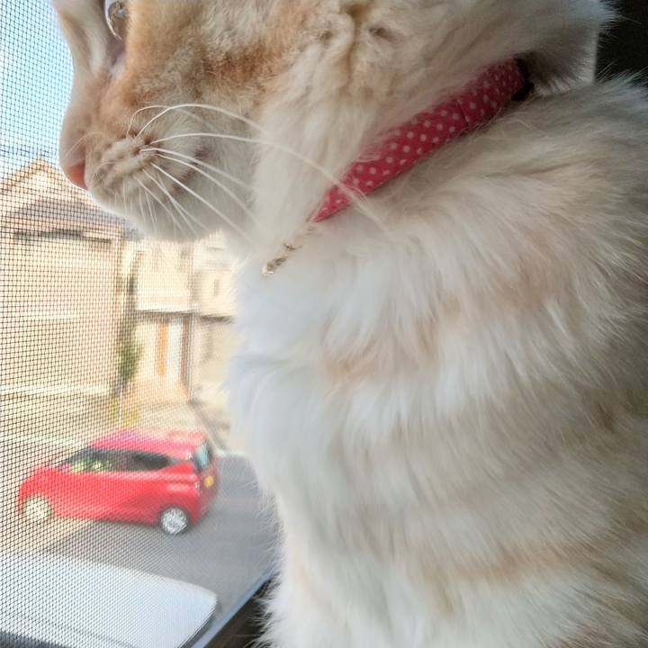 99a87cd5 3a88 4720 9540 7fc3f2c9720c 1615276607395