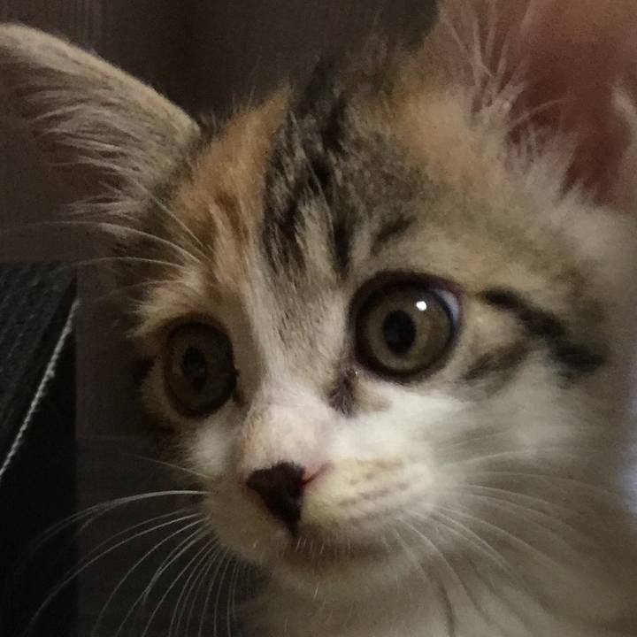 99a8a395 1e12 4fb7 acaa 6022c51b4331 1630736946529