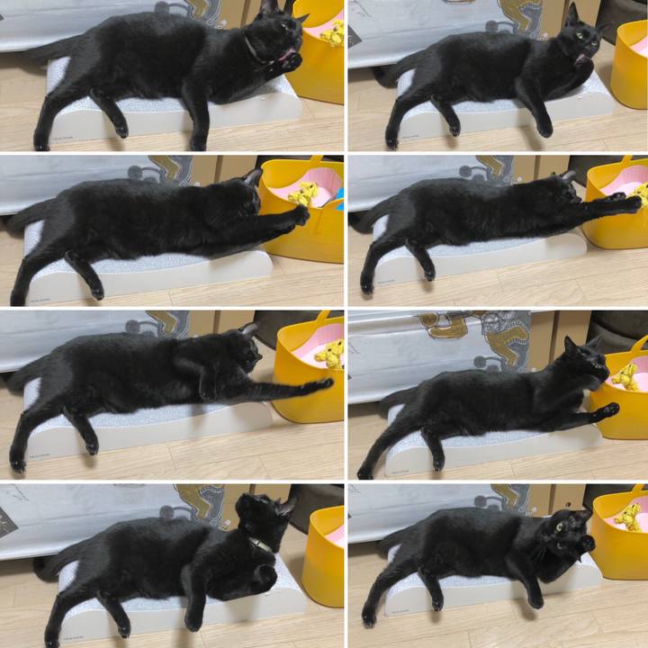 99a8e682 5e17 4320 9134 654281c334a3 1617448283966