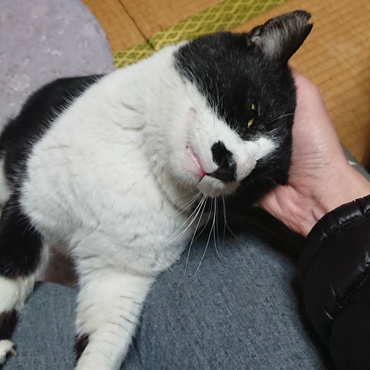 99a8ec9b 5674 45ec af9d a6169772de1e 1549696011421