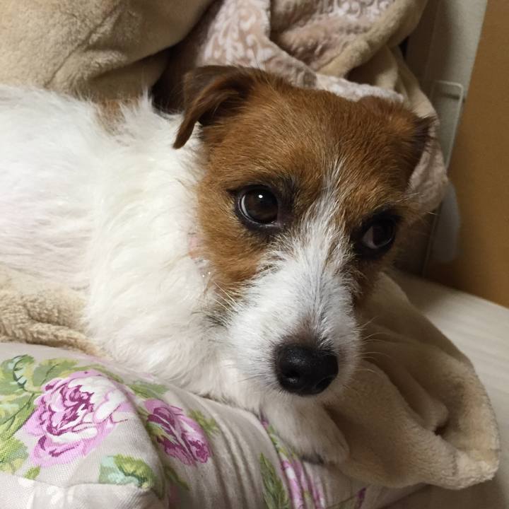 99a8efef 649b 4e30 a197 44314b039f81 1509718588404