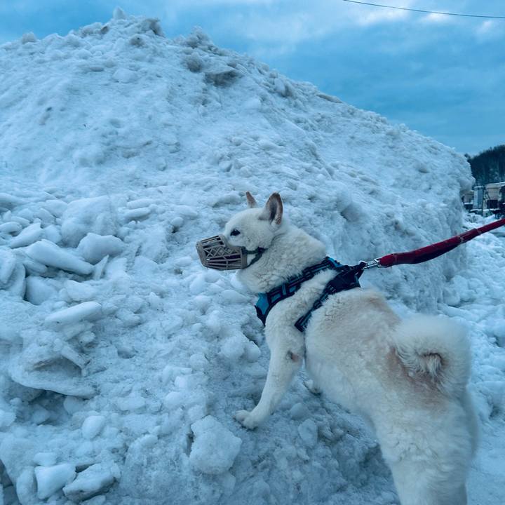 99a9122c e3d7 402e b8a0 aacbfdafa564 1737499069134