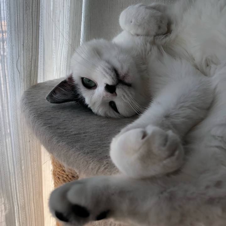 99a95caa 0567 4b7b b13f 820cf80fe1dd 1543120319041