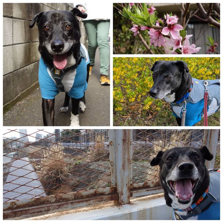 99a9838b fa1b 48c9 ac7c 4d14ba72f048 1743901311251