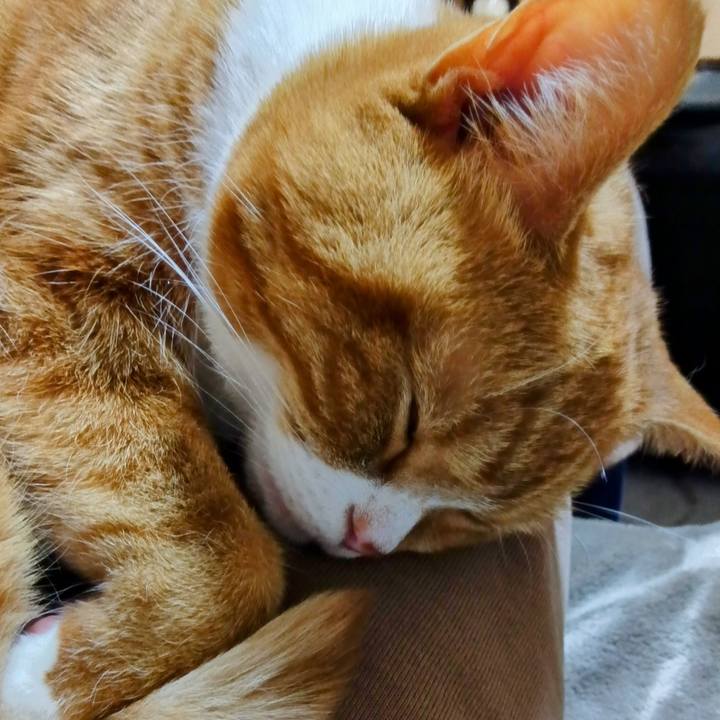 99a991b1 a9cf 4048 a12c 73fb006aa916 1735619413825