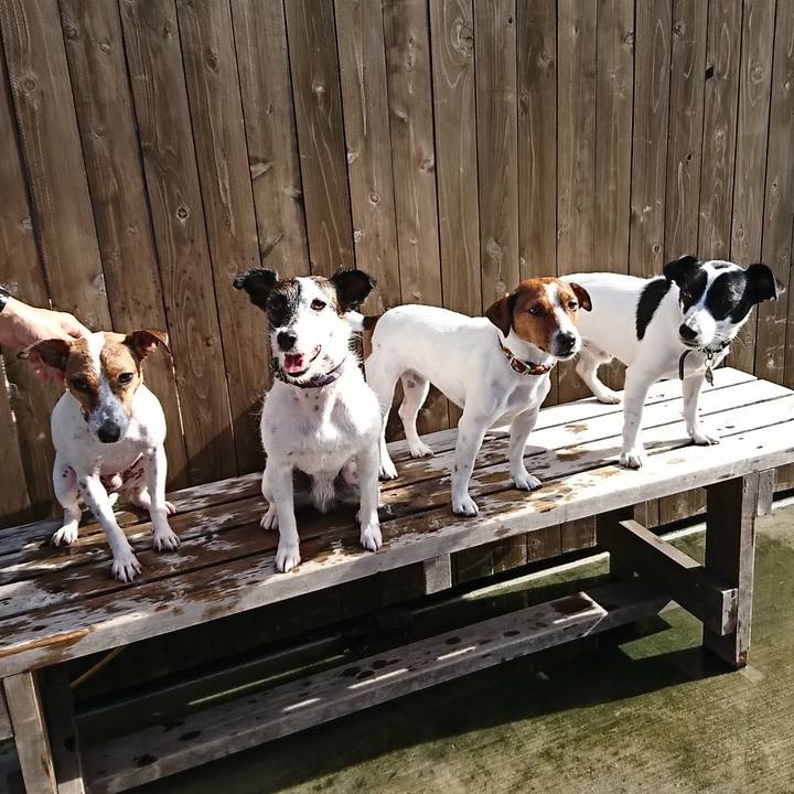 99a9bd8a 7460 4521 a5cf 06c683b5bfd4 1536534136984