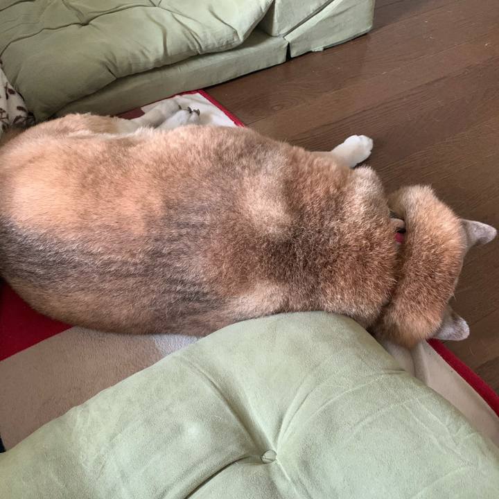 99a9c50c 1e92 4164 83d6 e5e8ddabad52 1647072340708