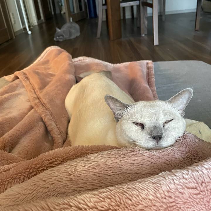 99a9cb5e 1d43 4454 ba1c 343acf3164cd 1736834868395