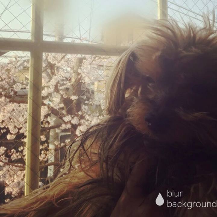 99aa1a76 a029 4de4 8089 cffb7863bfe9 1522188109626