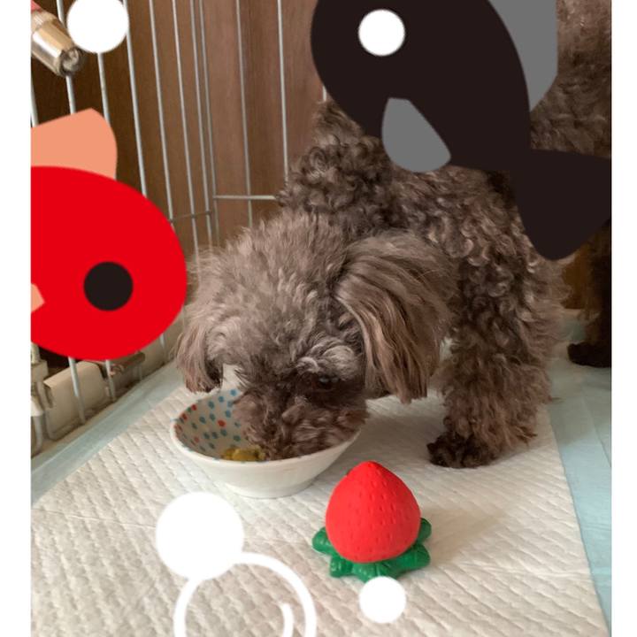 99aa5fd5 175d 4c1c 87e2 ffe3e059440a 1565074267571