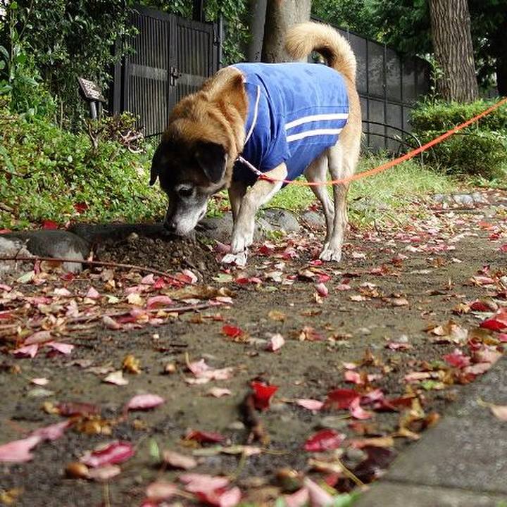 99aaa8de 3b96 4633 a46c 5c1a6ebe5315 1507862626250