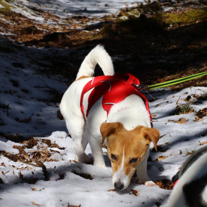 99aadb8e 7a8a 4914 a0d9 c5ee12eeb1e4 1552112562231