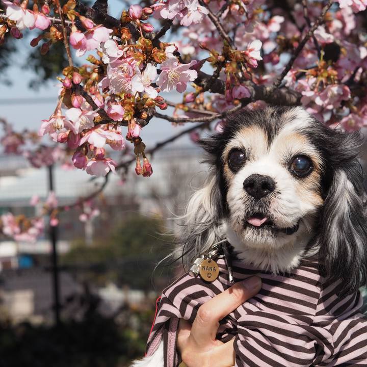 99ab4eec 50e4 4a6e 87bf 13a4111c4a28 1613798746102