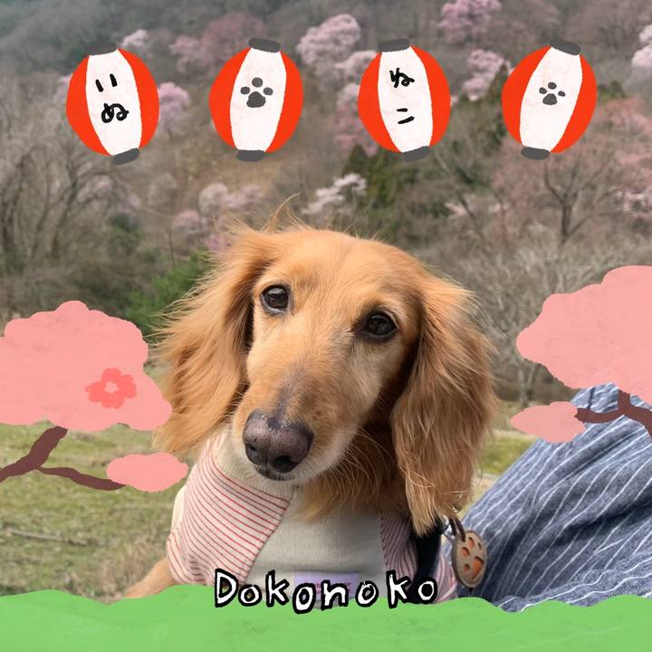 99abc0f6 498e 4f42 841a 6e3dbc2c3b06 1712800410792