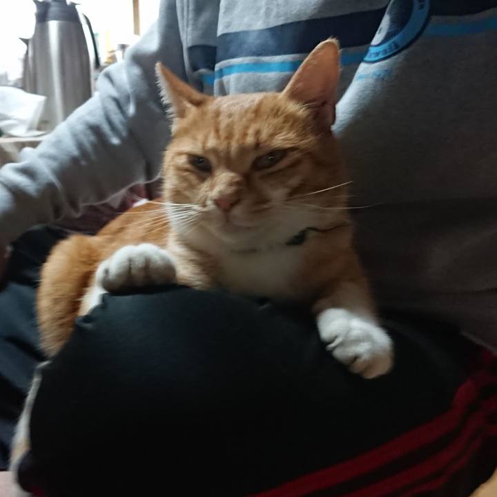 99abe7f0 f352 42f1 a735 10ea00de5641 1601703978650