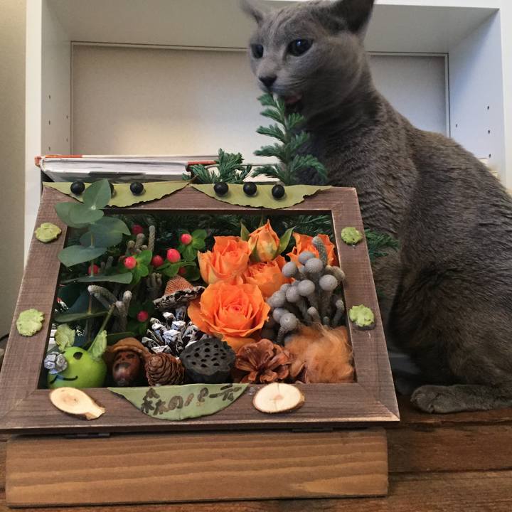 99ac69f2 fa52 402d 9e9e 869d9d97e025 1511058409752