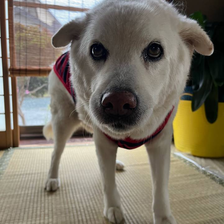 99ac8a12 87c5 417b bbd6 f159034448fd 1764029200007