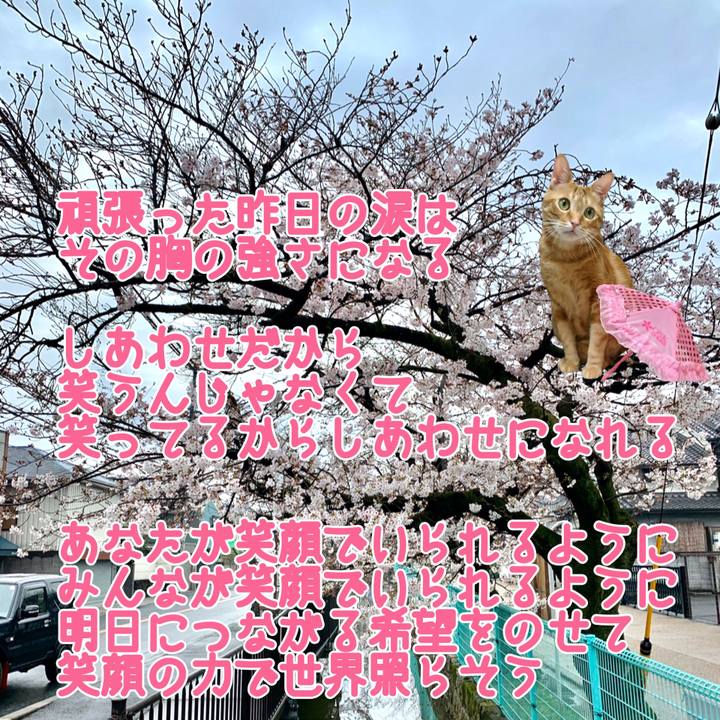 99acb295 c78f 4274 baa9 c0445f0cb4cd 1585662337340