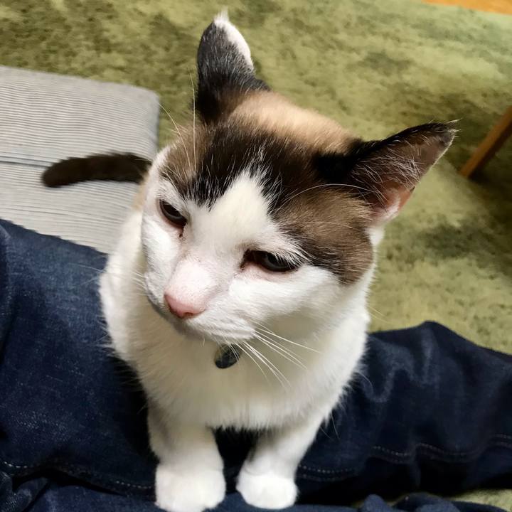 99acd017 4396 4cb1 a223 e50cb376f174 1619336823226