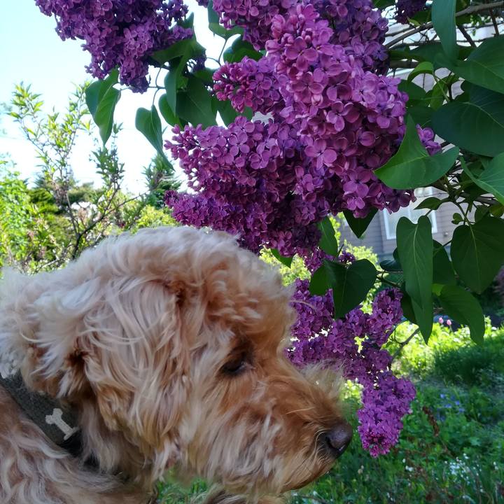 99ace34c c2ce 4ee5 a41e cad759a78e9c 1527291580754