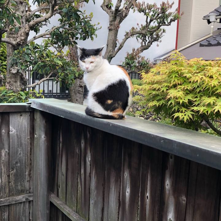 99ace994 f412 466c 8769 f99e9de007df 1617317186104