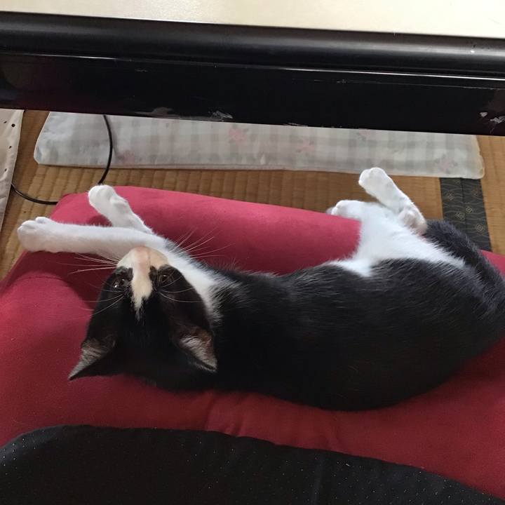 99ad15a9 5406 4b9a 833e 63851f0a98b0 1625968071293